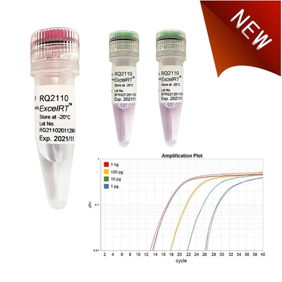 كاشف كيميائي حيوي No Rox QPCR Mix 1000 X 20ul تفاعلات دقيقة QMax Green