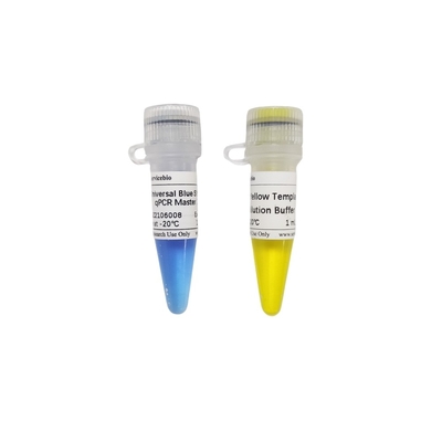 2 × Universal Blue GSK Green QPCR Master Mix مع 40 × محلول تخفيف بالقالب الأصفر