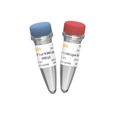 NGS Library Construction Fast T4 DNA Ligase 400 U / UL للاستخدام البحثي فقط