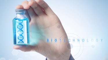 استخدام البحث السريع T4 DNA Ligase 400 U / UL كاشف بيوكيميائي