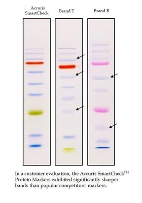 الحمل المباشر اللون Prestained Marker 10-180kDa كاشف كيميائي حيوي