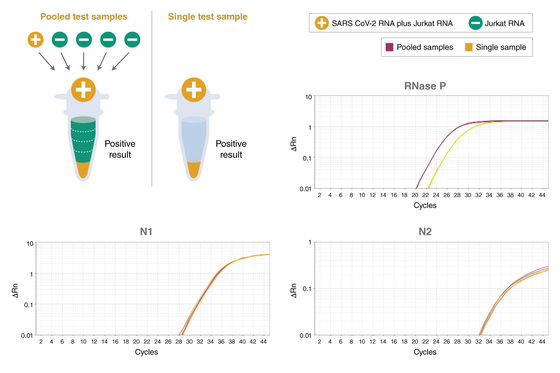 كاشف كيميائي حيوي عالمي TaqMan Multiplex QPCR Master Mix