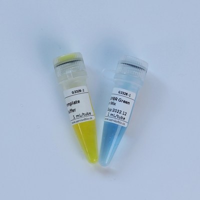 كاشف كيميائي حيوي عالمي TaqMan Multiplex QPCR Master Mix