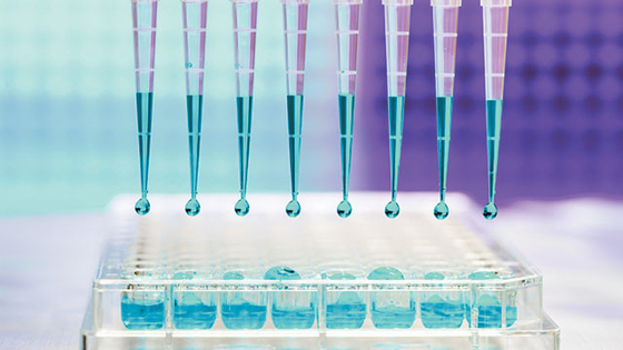10UL 100UL Rnase نصائح ماصة معقمة مجانية مايكرو يونيفرسال للمختبر